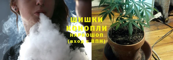 трава Белокуриха