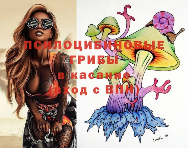 трава Белокуриха