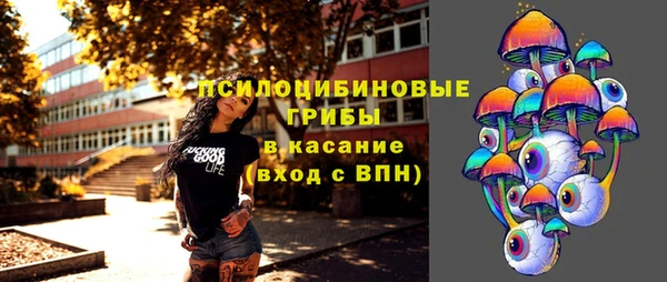 трава Белокуриха