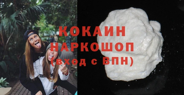 трава Белокуриха