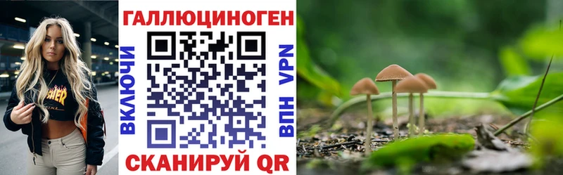 Псилоцибиновые грибы MAGIC MUSHROOMS Тольятти